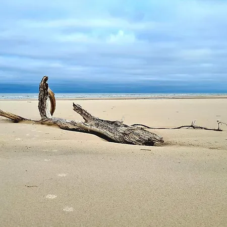 8 Person In Bindslev-by Traum * Bindslev