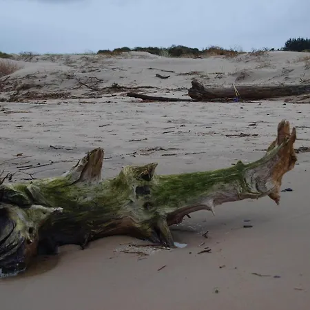 8 Person In Bindslev-by Traum Bindslev