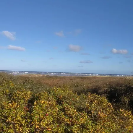 8 Person In Bindslev-by Traum *